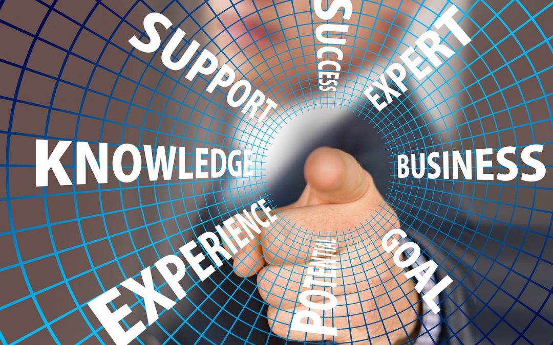 Professionalisierung wissensintensiver Dienstleistungen – Risiken und Gestaltungsoptionen
